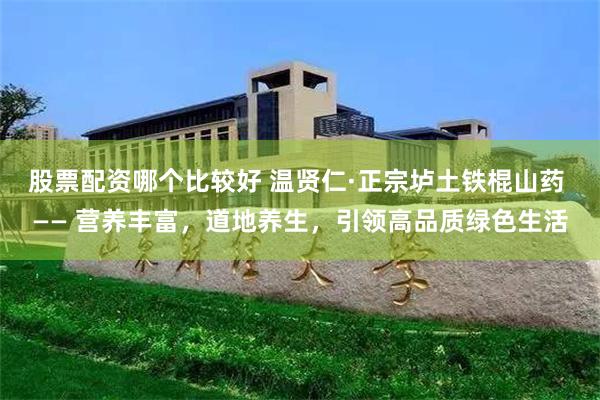 股票配资哪个比较好 温贤仁·正宗垆土铁棍山药 —— 营养丰富，道地养生，引领高品质绿色生活