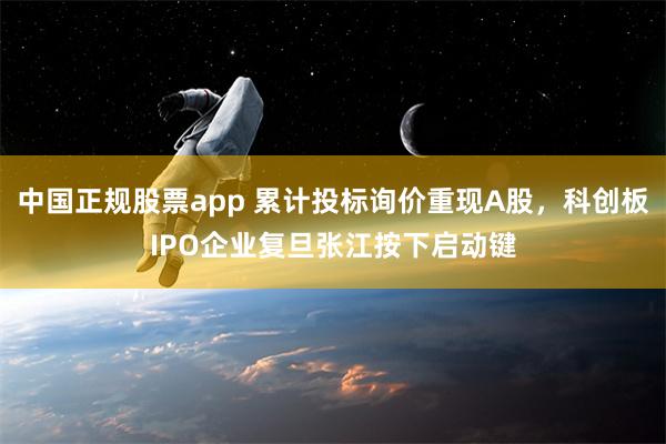 中国正规股票app 累计投标询价重现A股，科创板IPO企业复旦张江按下启动键