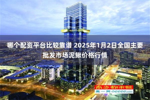 哪个配资平台比较靠谱 2025年1月2日全国主要批发市场泥鳅价格行情