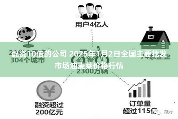 配资10倍的公司 2025年1月2日全国主要批发市场油麦菜价格行情