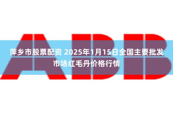 萍乡市股票配资 2025年1月15日全国主要批发市场红毛丹价格行情