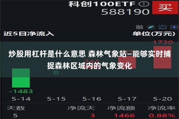 炒股用杠杆是什么意思 森林气象站—能够实时捕捉森林区域内的气象变化